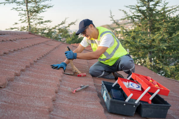 Residential Roof Replacement in Lake Dalecarlia, IN